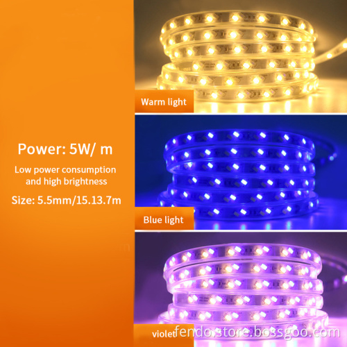 220V High Voltage IP65 Double Row LED Strip with 72/120 LEDs 5730 Chips